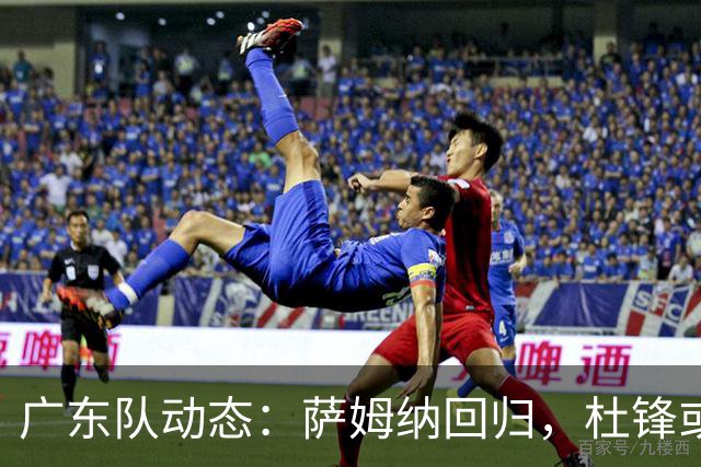 广东队动态:萨姆纳回归,杜锋或将出任国家队主教练?